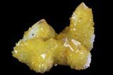 Sunshine Cactus Quartz Crystal - South Africa #96263-1